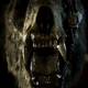 This mutated bear just wants to say hello.